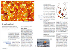 Granatapfel-Magazin, Artikel 'Fossiles Gold', Ausgabe März 2020 / Barmherzige Brüder Das Bild zeigt das Granatapfel-Magazin, Artikel 'Fossiles Gold', Ausgabe März 2020.